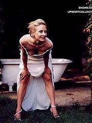 Anne Heche's see-through photo set up skirt pic