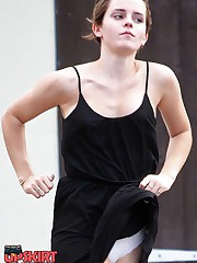 Celebrity upskirt fan blog