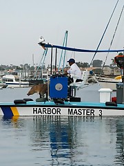 I took the uniquely beautiful Jeni Kessler to Newport Beach for some photos at the harbor. We caught the attention of a few recreational boaters and one offered the use of his vessel free of charge. Of course, this meant he would be aboard as Jeni modeled provocatively, but I am sure this had zero to do with his kind offer. My initial reaction was to refuse, but I asked Jeni how she felt, and she gave it the green light. All was cool until our captain presented an impromptu poem that he had written for Jeni while we photographed. That's wonderful, mate. Would you look at the time? We must be going. Have some video tapes to return.